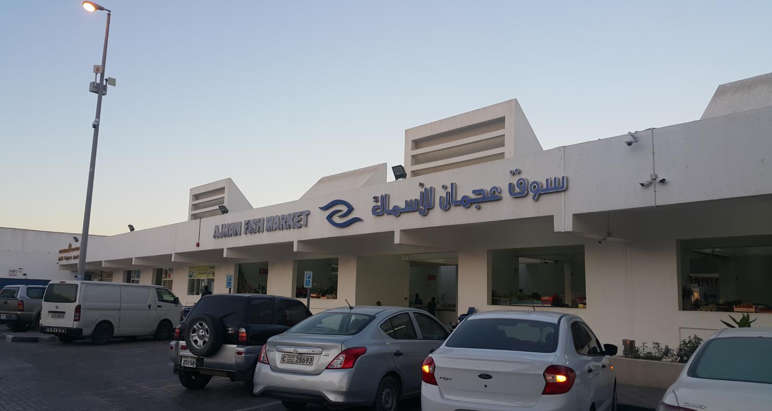 Ajman Fish Market Timing and location khaleejfeed