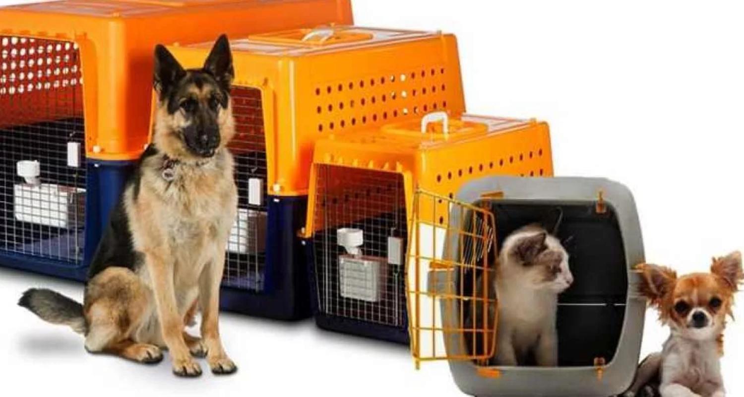 dubai pets market