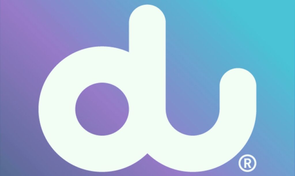 how to check du data balance prepaid