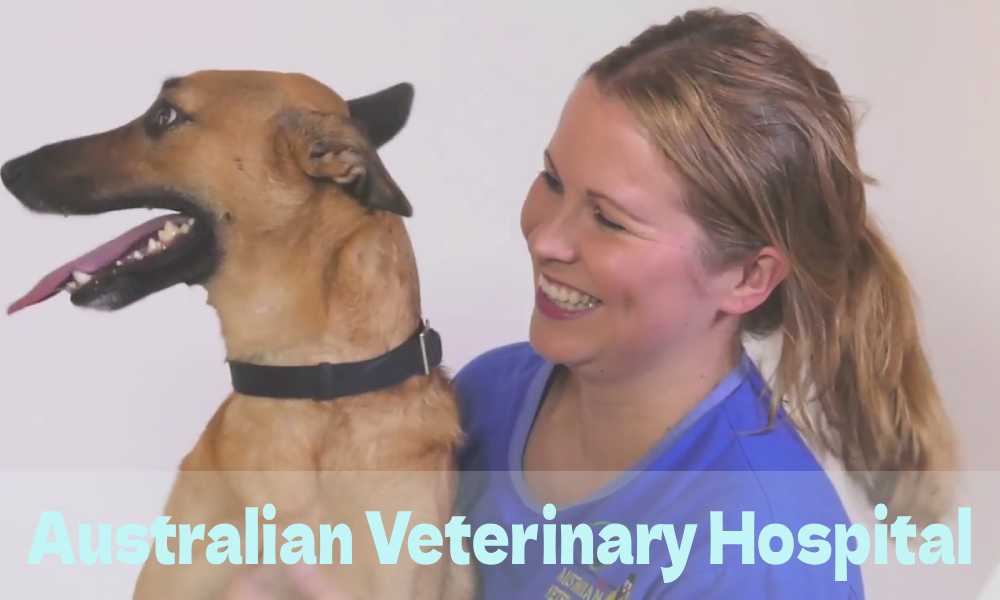 Australian Veterinary Hospital